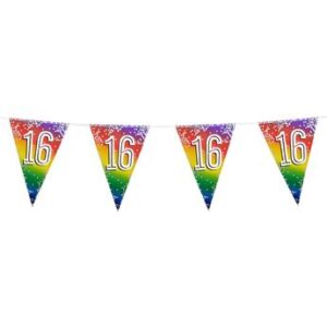 Venta de Banderín 16 Cumpleaños Multicolor (6m)