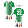 Venta de Piñata Real Betis cartón 65cm x 45cm